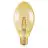 Ledvance Vintage 1906 LED E27 Goud 4W 470lm - 824 Zeer Warm Wit | Vervangt 40W