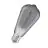 Ledvance LED Vintage 1906 E27 Edison Filament Smokey 3.4W 100lm - 818 Zeer Warm Wit