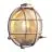 Nordlux Polperro Wandlamp Messing en Glas Satijn Nikkel - Buitenverlichting | 195mm - IP64 - Geschikt voor E27